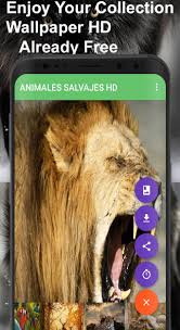 El gigante es ambicioso y pretende que algún día sus usuarios no necesiten ninguna aplicación que no sea suya. Fondos De Pantalla De Animales Salvajes For Android Apk Download