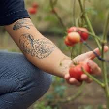 Roberto Alas y su evolución del fine dining al fast casual