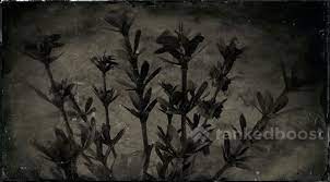 Red Dead Redemption 2 Creeping Thyme Where To Find And Craft