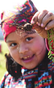 Confederated Tribes of the Umatilla Indian Reservation