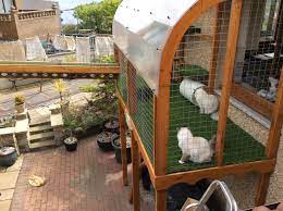 More importantly, cat wall climbing shelves allow your cats to explore and lounge up high, which cats love. Outdoor Enclosures For Cats Awesome Outdoor Catwalk For Cats