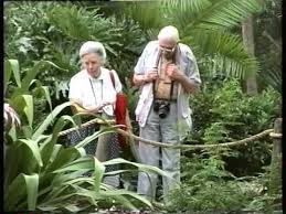 Discovery island marine provincial park occupies the southern portion of discovery island, 3 miles (4.8 km) east of oak bay. Disney World What Is Discovery Island Where A Man Was Found Camping
