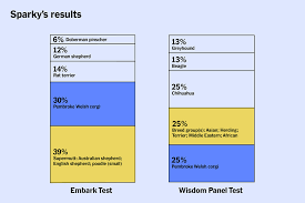 The test kit can be done in your home, without a visit to the vet. The 2 Best Dog Dna Test 2021 Reviews By Wirecutter