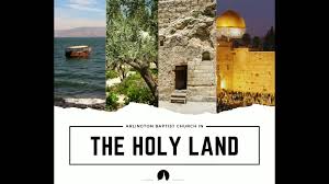 Image result for Baptorhachis