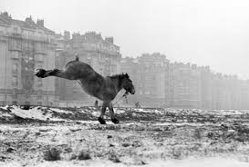 1950s Paris Through The Lenses Of Four Photographers Sabine Weiss Street Photography Horses