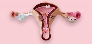 Birth control decreased libido: Has anyone experienced this with Mirena  IUD? | EmpowHER - Women's Health Online