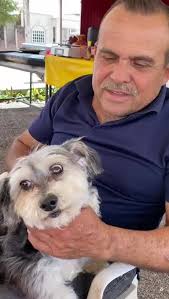 Videos de Enrique Rojo (@enrique.rojo07) con “sonido original