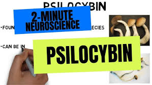 Image result for Psilocybin
