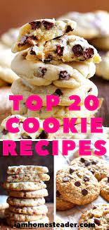 Top 20 Cookie Recipes Best Cookie Recipes Easy Cookies Easy Cookie Recipes