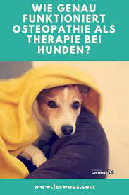 wie funktioniert osteopathie als therapie fur hunde leswauz hunde homoopathie globuli fur hunde