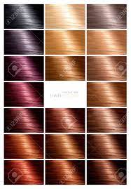 Get this toasted golden blonde look. Hair Color Palette With A Range Of Swatches Showing The Different Colors Of The Dyes On