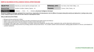 business intelligence developer job