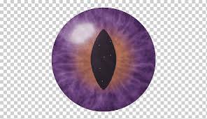 L➤ minecraft ender dragon 3d models ✅. Minecraft Enderman Animation Ender Pearl Pearls Purple Violet Color Png Klipartz