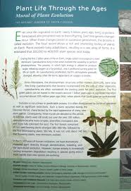 Plant Life Through The Ages Plant Life Plants Botanical