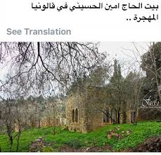 Pin By R Sal On فلسطين جنة الدنيا على الارض Plants Tree Garden