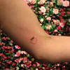 Tomato tattoo chicagos westtown tattoo. 1