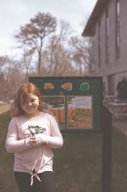 Clematis Kimiko-natures delicate beauty