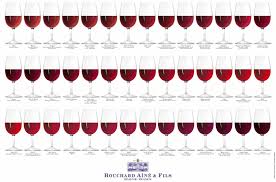 Wine Color Complete Visual Guide Social Vignerons