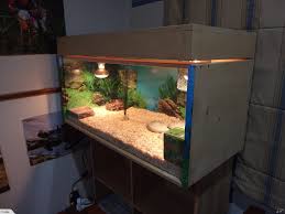 Reptile Terrarium Reptile Terrarium Terrarium Reptiles