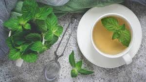 Rasa pudina menyegarkan selain ia turut menyihatkan. 7 Manfaat Kesehatan Mereguk Teh Daun Mint Hati Hati Untuk Penderita Maag Minum Teh Herbal Ini Warta Kota