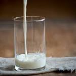  Cockroach Milk More Protein And Nutrient Rich Than Regular Milk: The Next Superfood Trend?