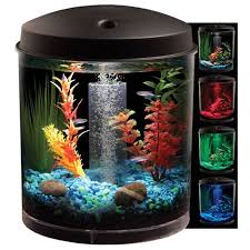 Petco 360 View Aquarium Kit Aquarium Kit Small Fish Tanks Betta Fish Tank