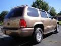 Image result for Sierra Bronze 2000 Durango