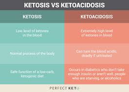 Hosted Site Search Discovery For Companies Of All Sizes Ketosis Ketoacidosis Diet Diet