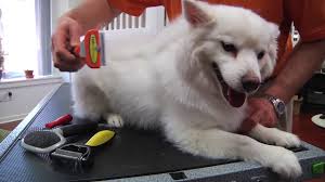 Furminator Uzun Tuylu Kopek Tuy Toplama Taragi Youtube