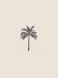 Check out our beige palm trees selection for the very best in unique or custom, handmade pieces from our shops. Palm Tree Drawing Print Sam Scales Palm Tree Art Palm Tree Drawing Palm Tree Tattoo