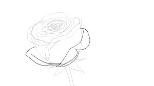 Comment Dessiner Une Rose En 2020 Comment Dessiner Une Rose Dessin Rose Dessin De Roses