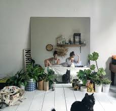 Find out more about the best cheap house plants to add to your hom Image About Tumblr In Home By Grace On We Heart It