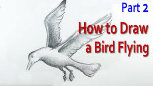 How To Draw A Bird Flying About To Land Youtube How to draw a rabbit with pen and ink. how to draw a bird flying about to land
