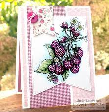 The Creative Closet By Cindy Lawrence Power Poppy Berry It Art Craft Cards Paper Crafts Cards Card Craft