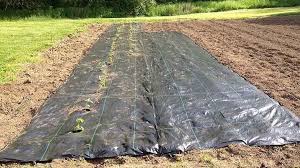 Does not affect the growth of the package included: Best Weed Barrier In 2020 Yard Work Hq