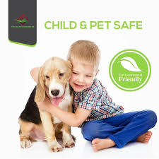 To buy ultrasonic pest repellent, click here. Cravegreens Pest Control Ultrasonic Repellent Electronic Plug In Repelle Walmart Com Walmart Com