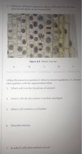 We did not find results for: 2 Each Plant Cell Below Represents A Phase Of The Chegg Com