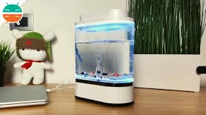If we don't, ask away in the comments. Xiaomi Geometry Mini Lazy Fish Tank Review The Design Aquarium For Your Desk Gizchina It