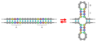 You decide after looking at these strange questions!. Palindrome Wikipedia