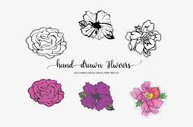 Watercolor painting flower drawing floral design, hand drawn wild rose decorative patterns , pink petaled flowers illustration png clipart. Hand Drawn Flowers Rose Transparent Png 720x480 Free Download On Nicepng