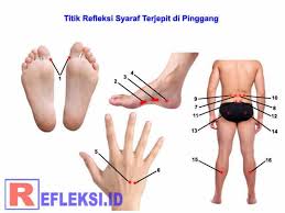 Abal aban abang abangan abangga abangmu abangnya abar abaran abas abasiah abatoar abau abbreviata abc abdas abdi abdikasi abdomen abdominal abdu abductee abduh abduksi abduktor abdul abdullah abdurrahman abe abece abel abelmaschus abelmoschus aben aberasi abesif abet abi abian abid. Titik Pijat Refleksi Syaraf Terjepit Di Pinggang