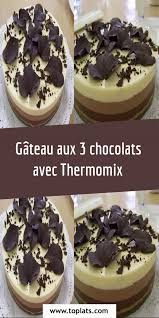 Gateau Aux 3 Chocolats Avec Thermomix Gateau Magique Chocolat Alimentation Idee Recette Thermomix