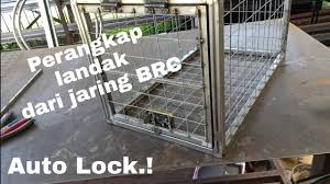 Buat sangkar kucing sendiri guna paip pvc terbaik hasilnya dibantu oleh anak. Buat Sendiri Sangkar Kucing Mudah Jimat Dan Cepat Youtube