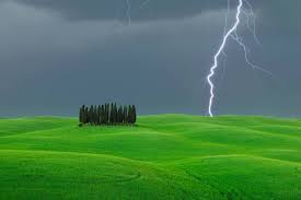 Trend Google: previsione