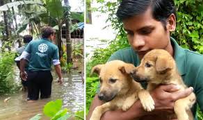 Image result for kerla flood