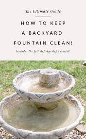How to clean a garden water fountain. How To Keep Water Fountain Water Clean Bigger Than The Three Of Us