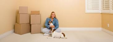 This service is commonly used when the animal's owner is moving house. Cost Of Moving Pets Overseas International Pet Shipping