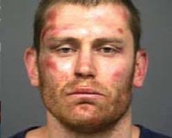 Man who tore down American flags arrested