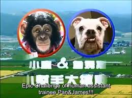 Pankun & James: Kindergarten Kids play with Genius Chimpanzee engsub  狗狗猩猩大冒險 - video Dailymotion