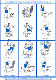 Les salles de sport pour femmes vous offrent un entrainement de qualité, de la convivialité et un matériel une salle de sport est le meilleur endroit pour suivre des séances d'entrainement et pour se motiver les exercices utilisés en crossfit et adaptés aux femmes sont regroupés en trois catégories Banc De Musculation Simple Ou Appareil Complet Banc De Musculation Programme Musculation Homme Musculation Pour Debutant